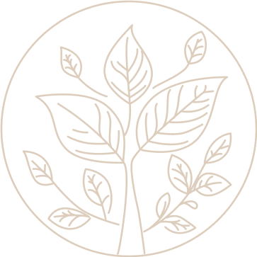 こんな方におすすめ